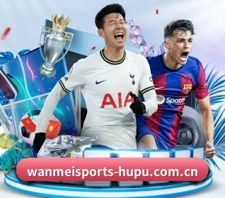 完美体育 APP(WANMEI SPORTS)
